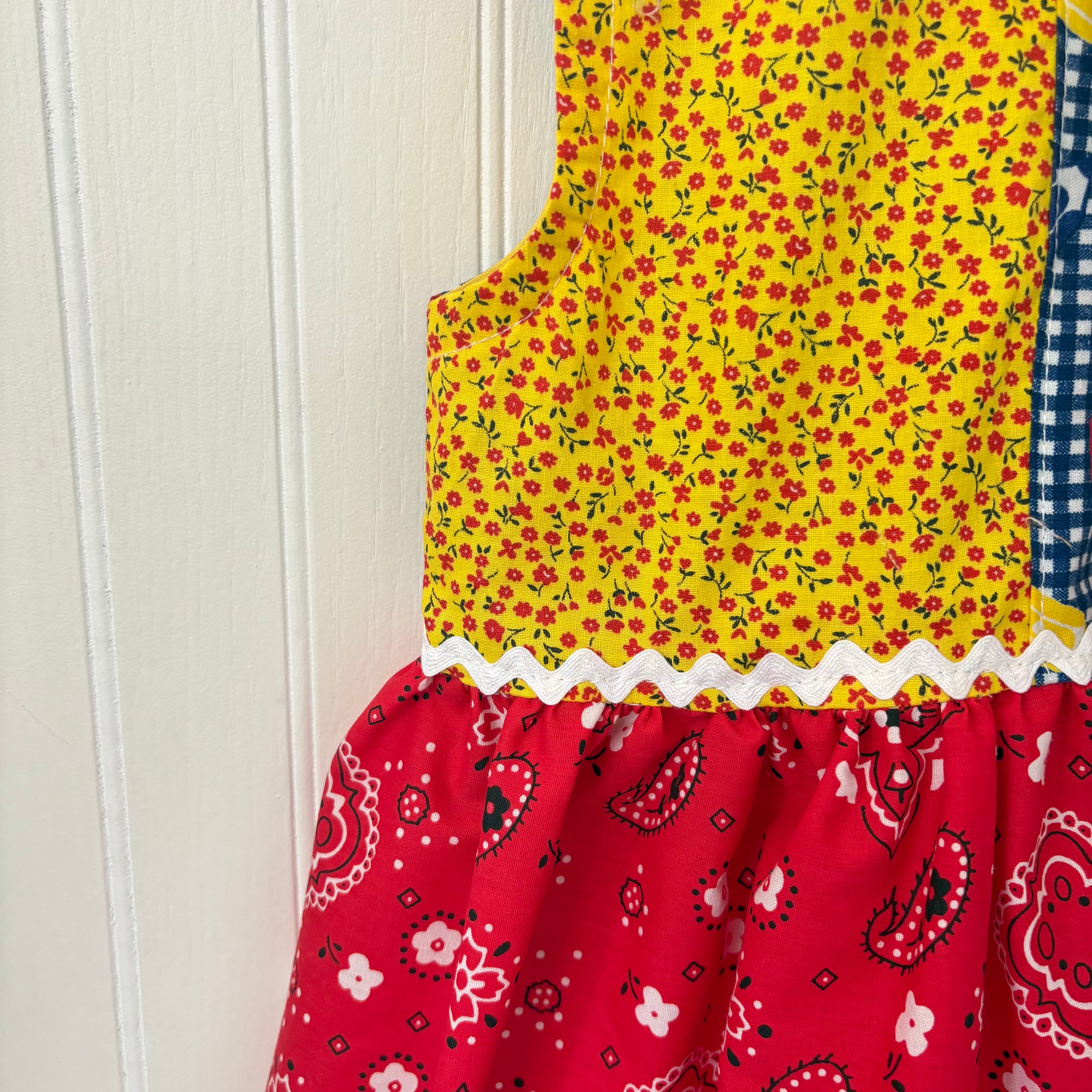 County fair dress - 5Y